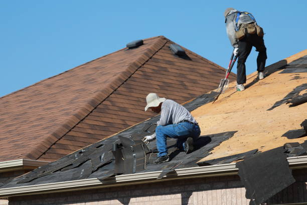 Best Gutter Installation and Repair  in Pickens, MS